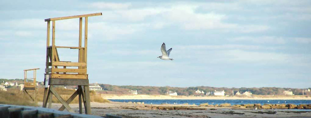 Handkerchief Shoals Inn South Harwich Экстерьер фото